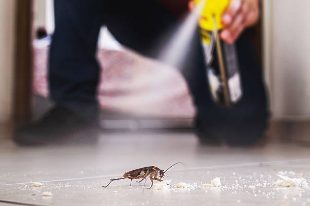 Best Local Pest Control Services  in USA